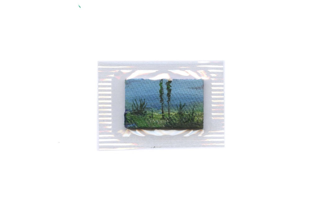 Insecta 3 - Manuel Coll