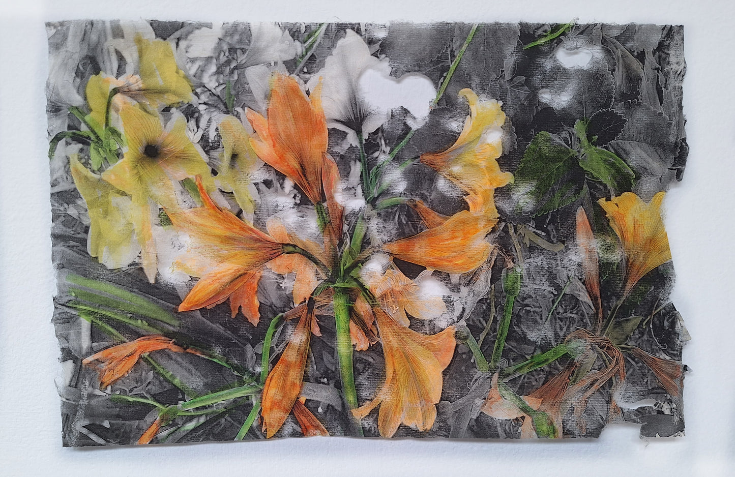 Flores 1 | Serie Todos los jardines de mi madre - Andrea Estela Moccio