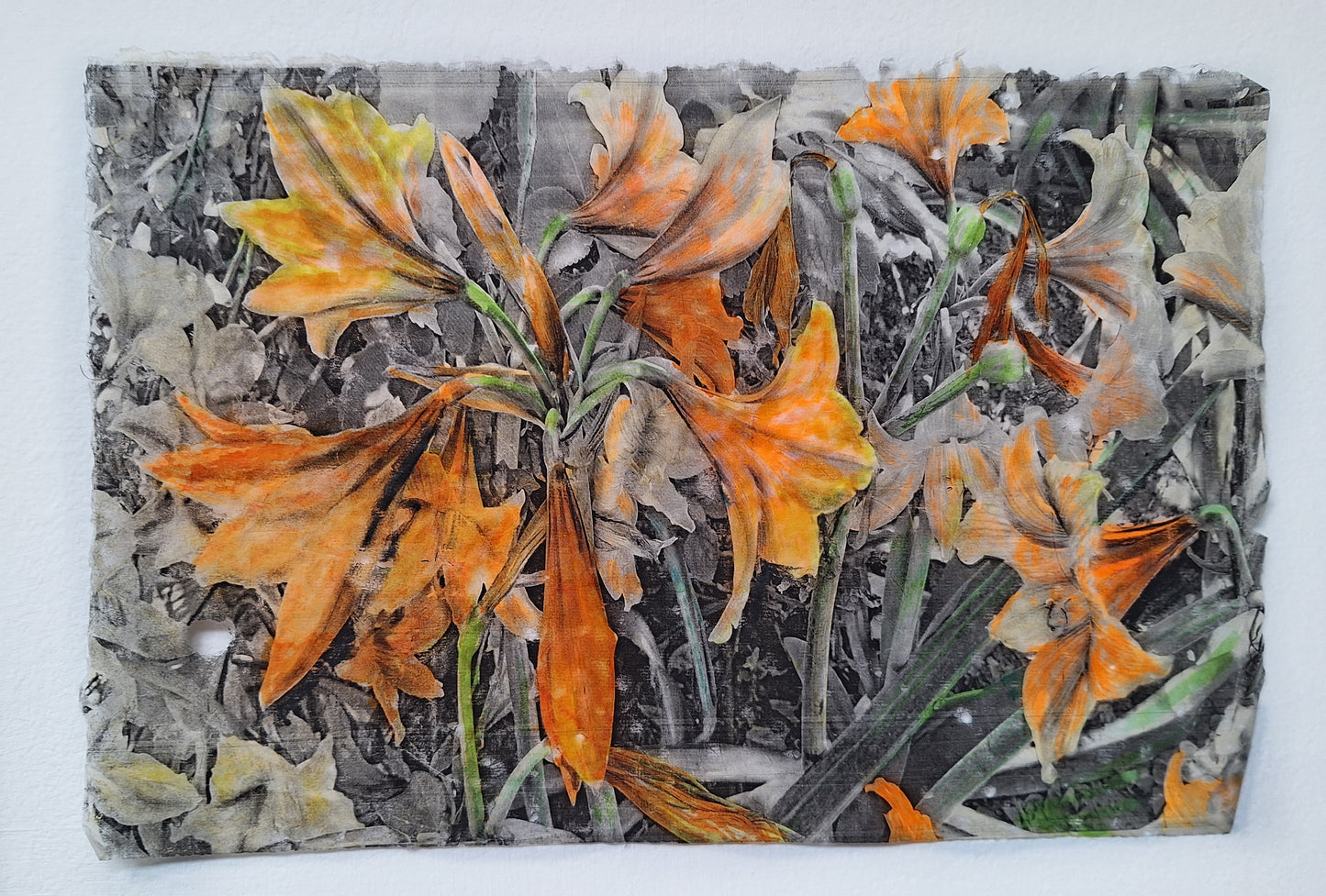 Flores 2 | Serie Todos los jardines de mi madre - Andrea Estela Moccio