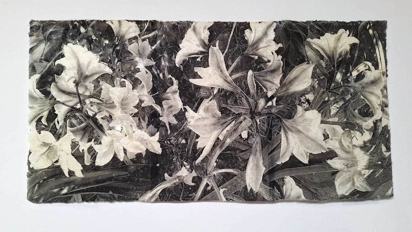 Flores grises II | Serie Todas las flores de mi madre - Andrea Estela Moccio