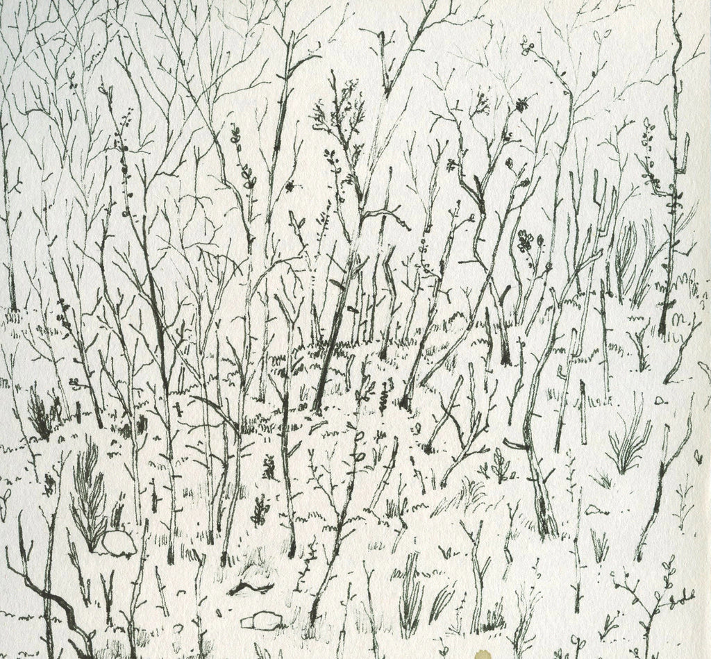 Dibujo de paisajes VII | Serie Dibujos de paisajes - Manuel Coll