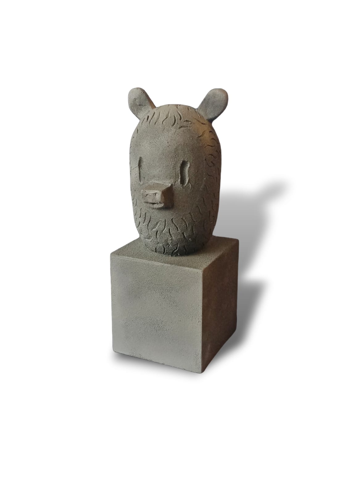 Oso gris - Jacinto Muñoz
