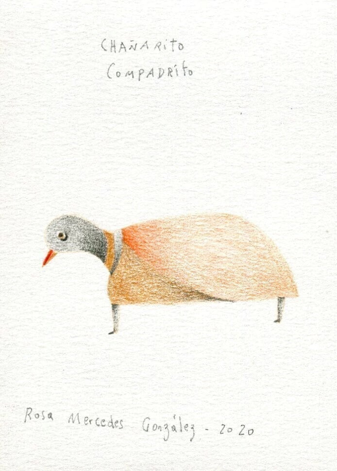 Chañarito compadrito - Rosa Mercedes Gonzalez
