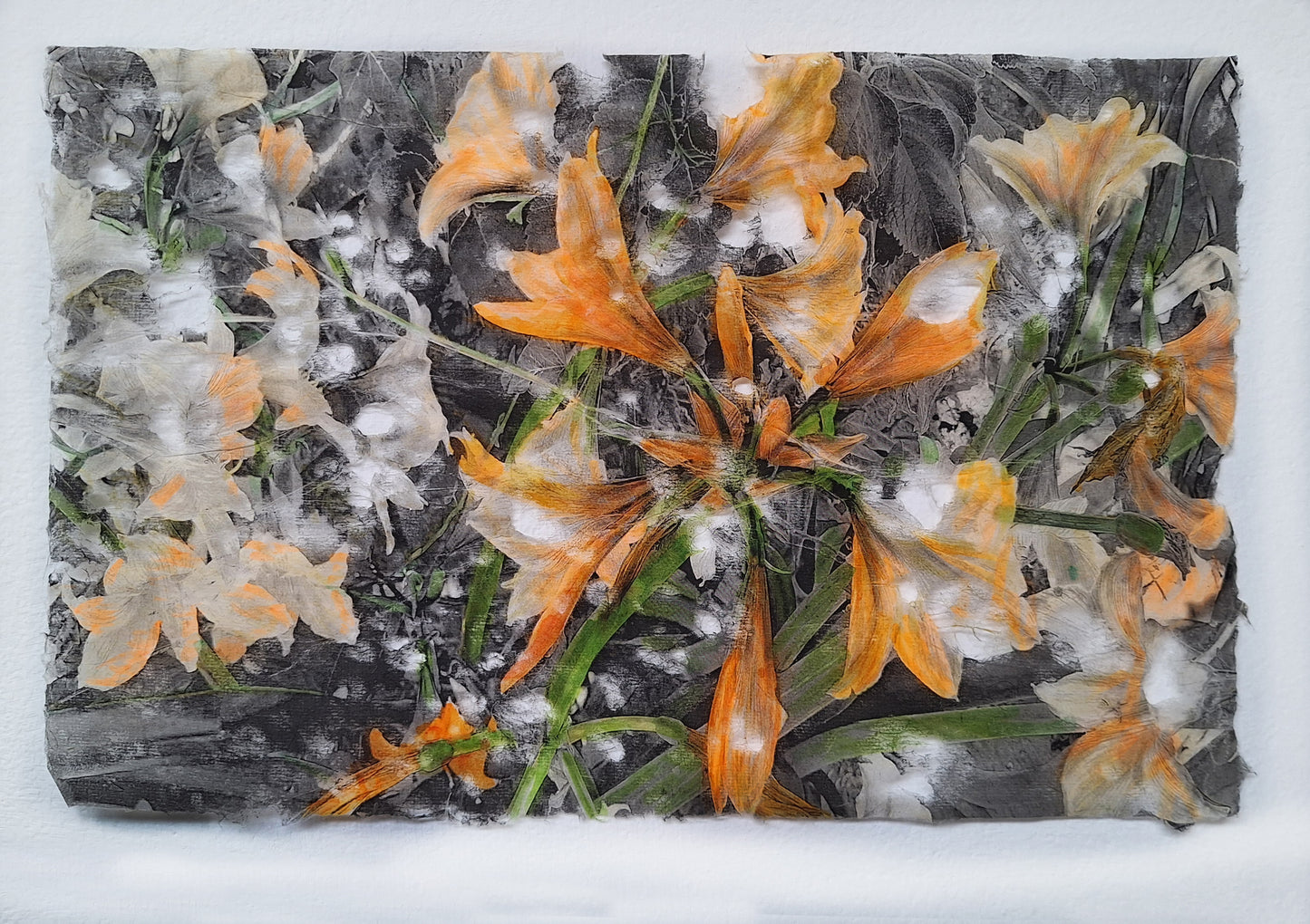 Flores 3 | Serie Todos los jardines de mi madre - Andrea Estela Moccio