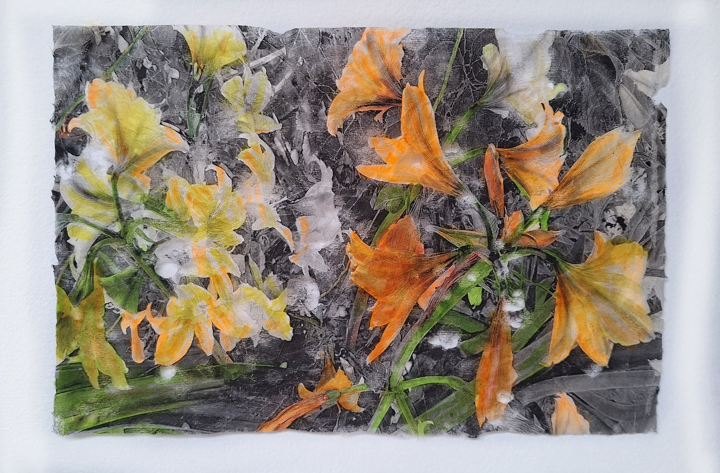Flores 4 | Serie Todos los jardines de mi madre - Andrea Estela Moccio