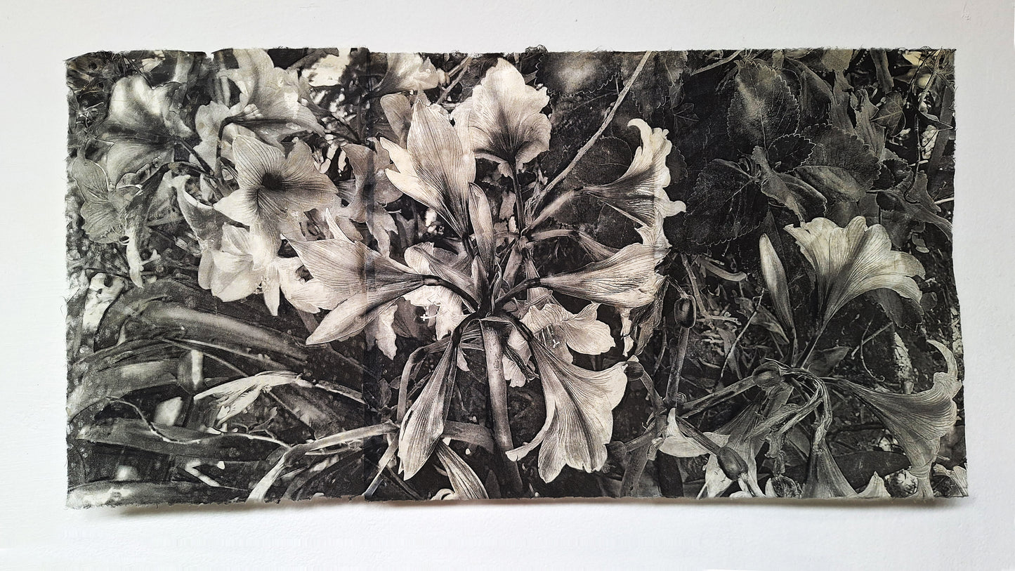 Flores grises I | Serie Todas las flores de mi madre - Andrea Estela Moccio