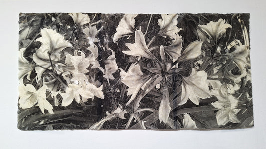 Flores grises II | Serie Todas las flores de mi madre - Andrea Estela Moccio