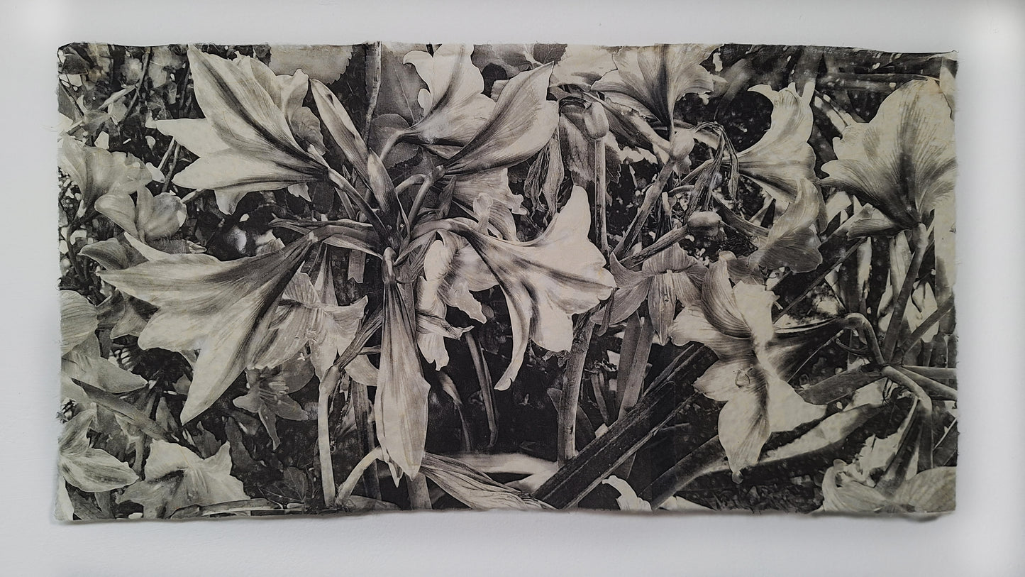 Flores grises III | Serie Todas las flores de mi madre - Andrea Estela Moccio