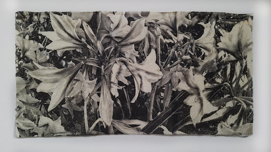 Flores grises III | Serie Todas las flores de mi madre - Andrea Estela Moccio
