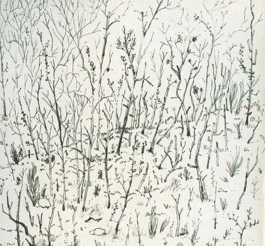 Dibujo de paisajes VII | Serie Dibujos de paisajes - Manuel Coll